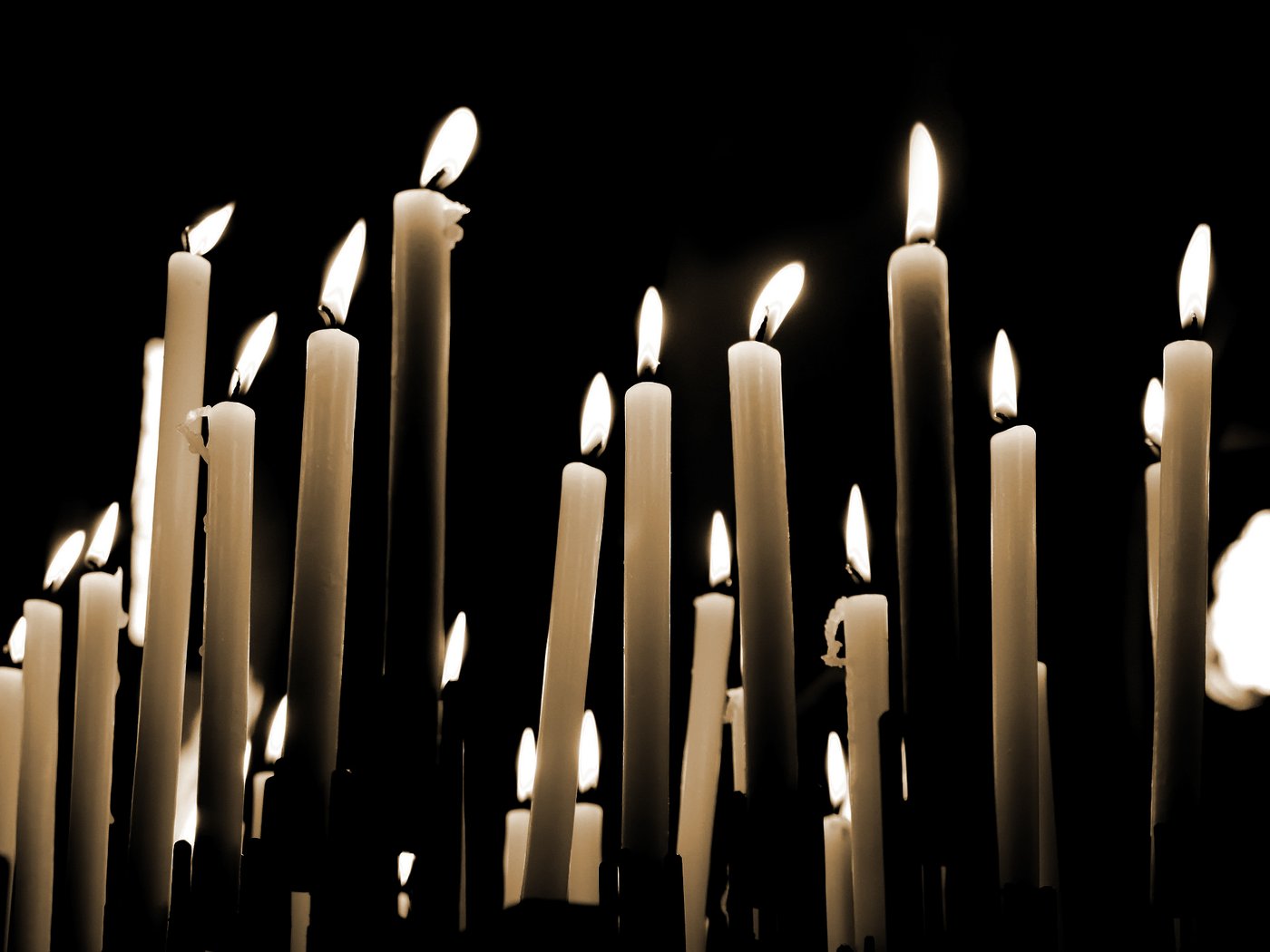 Candles Of Remembrance | - The Vital Beat